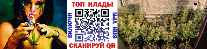 Где купить Каневская Амфетамин  Кокаин  ГАШИШ  Мефедрон  МАРИХУАНА 
