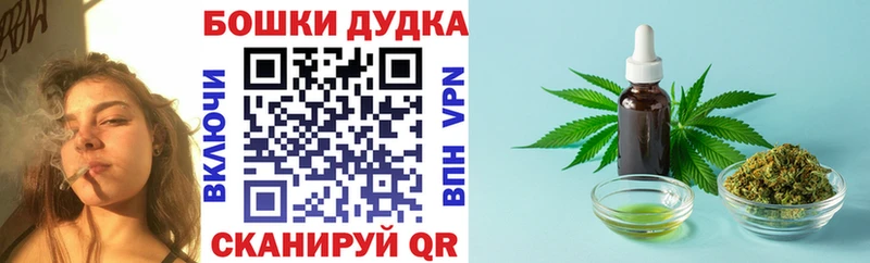 Канабис сатива Каневская
